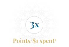 3x Point/$1 Spent1
