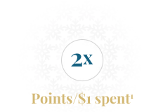 2x Point/$1 Spent1