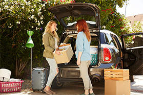 Organize and Goal Set