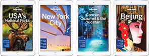 These are just a few of Lonlely Planet's hundreds of titles to choose from: