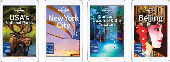 These are just a few of Lonlely Planet's hundreds of titles to choose from: