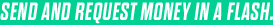 SEND AND REQUEST MONEY IN A FLASH